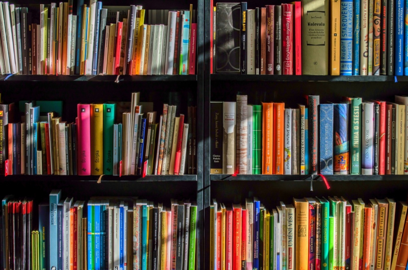 magasin-GRIMAUD-min_books_bookstore_book_reading_shop_writer_sale_books_read-822866
